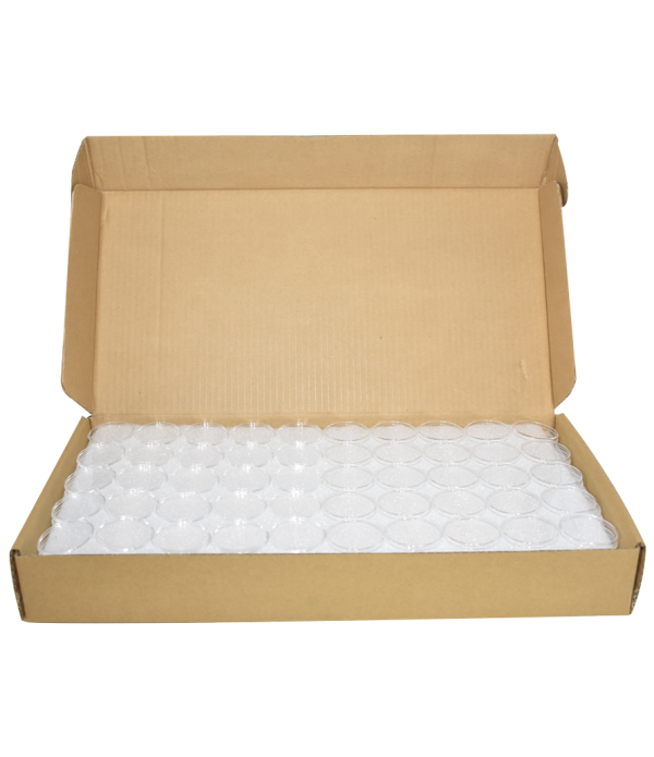 Pieces Plastic Coin Capsule Holders Display Case Box Old Coins (25 mm - 5 GM) 